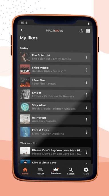 magroove音乐app下载,magroove,音乐app,听歌app